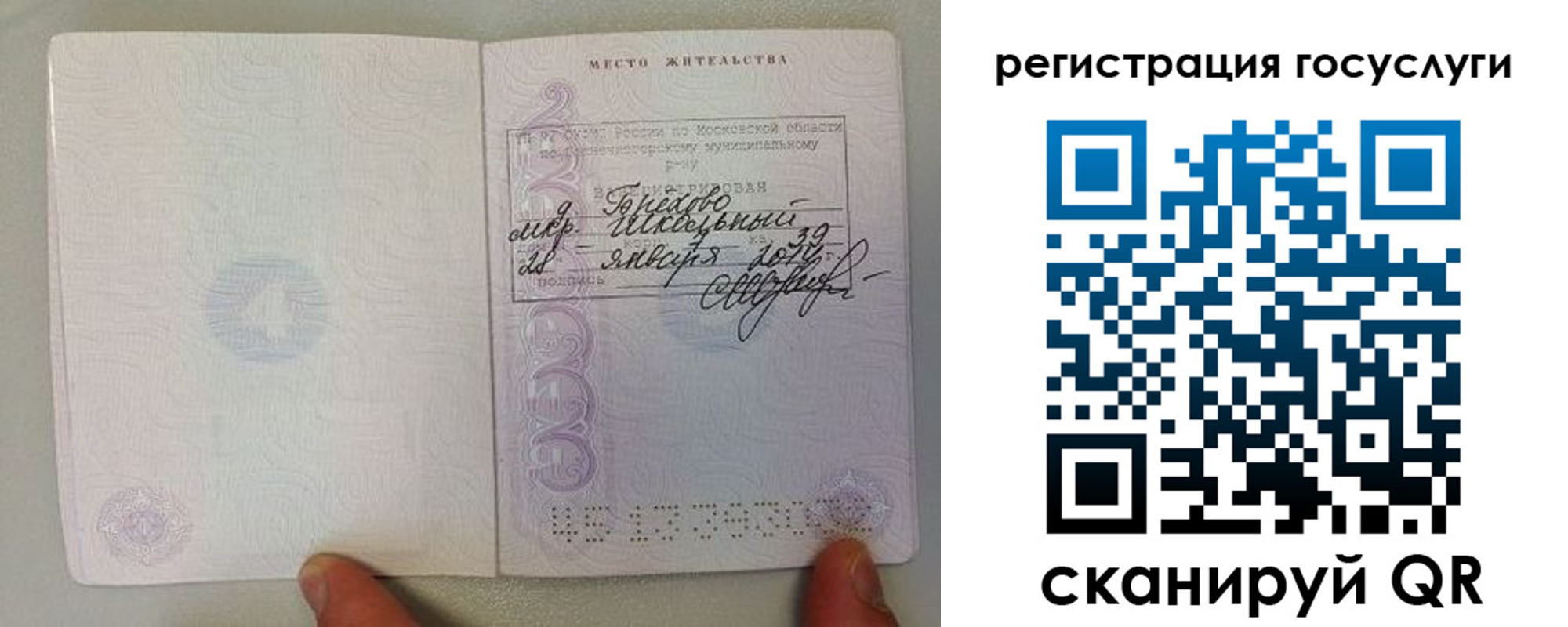 пропишу в квартире в Мурино